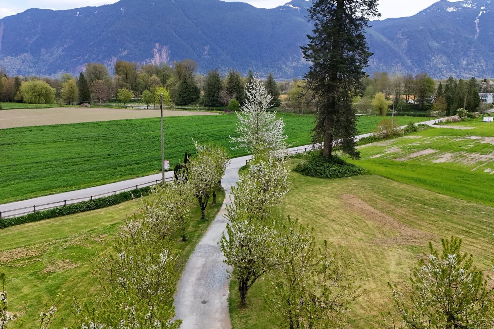 Listing Image 37