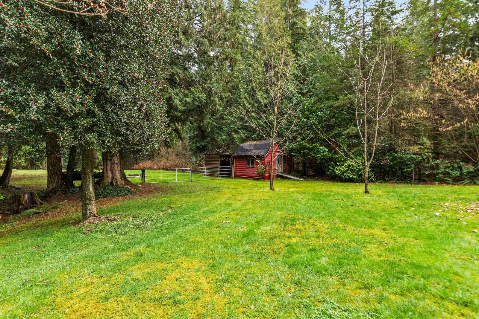 Listing Image 33