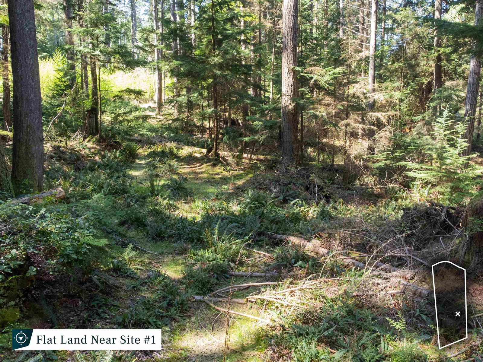 Listing Image 18