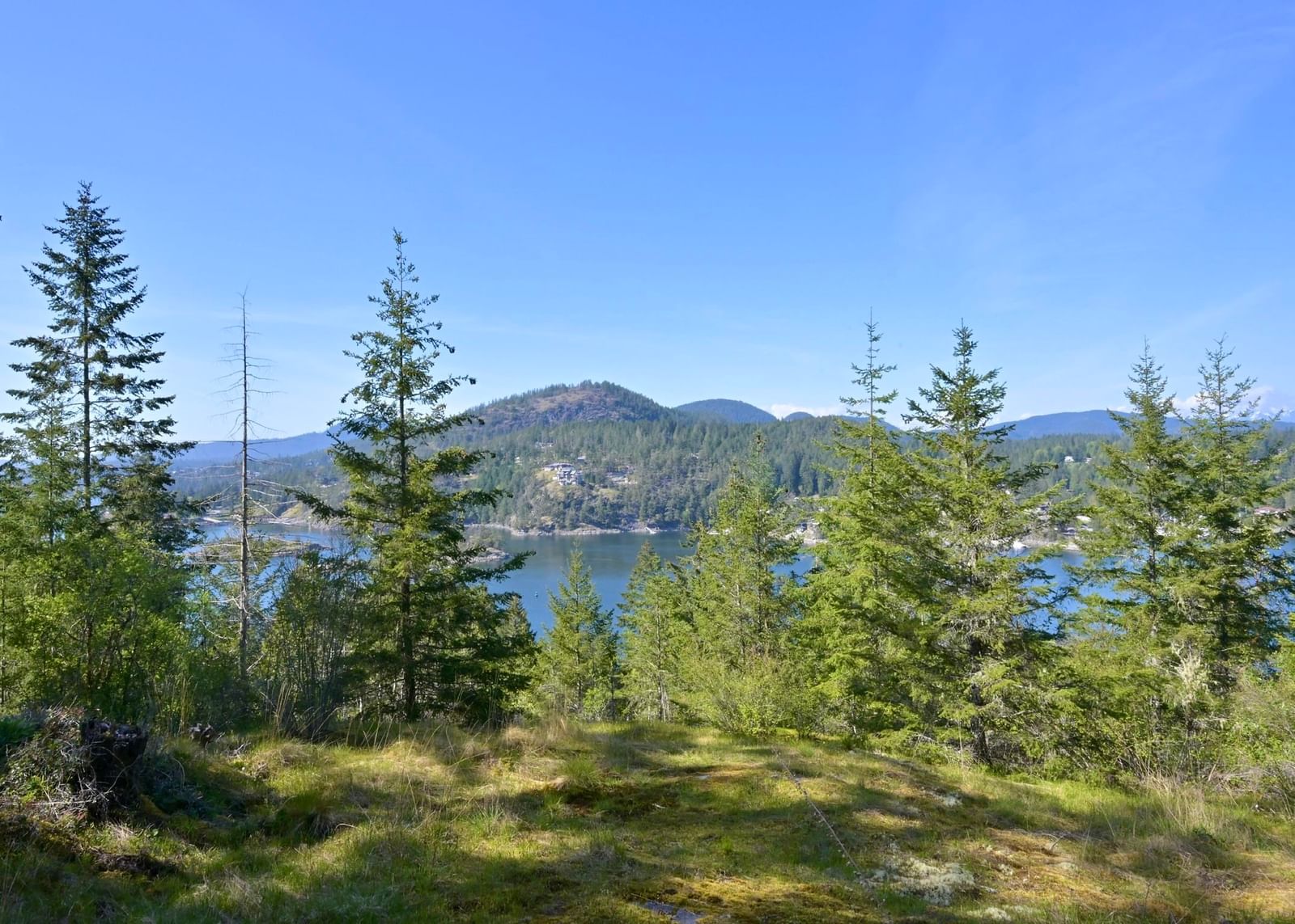 Listing Image 37