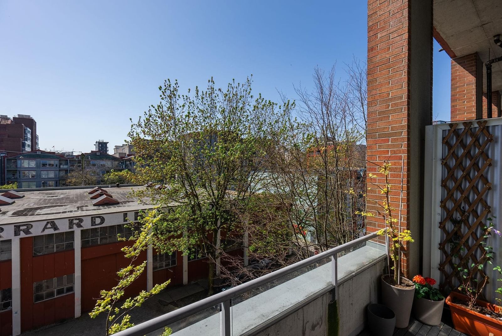 Listing Image 12