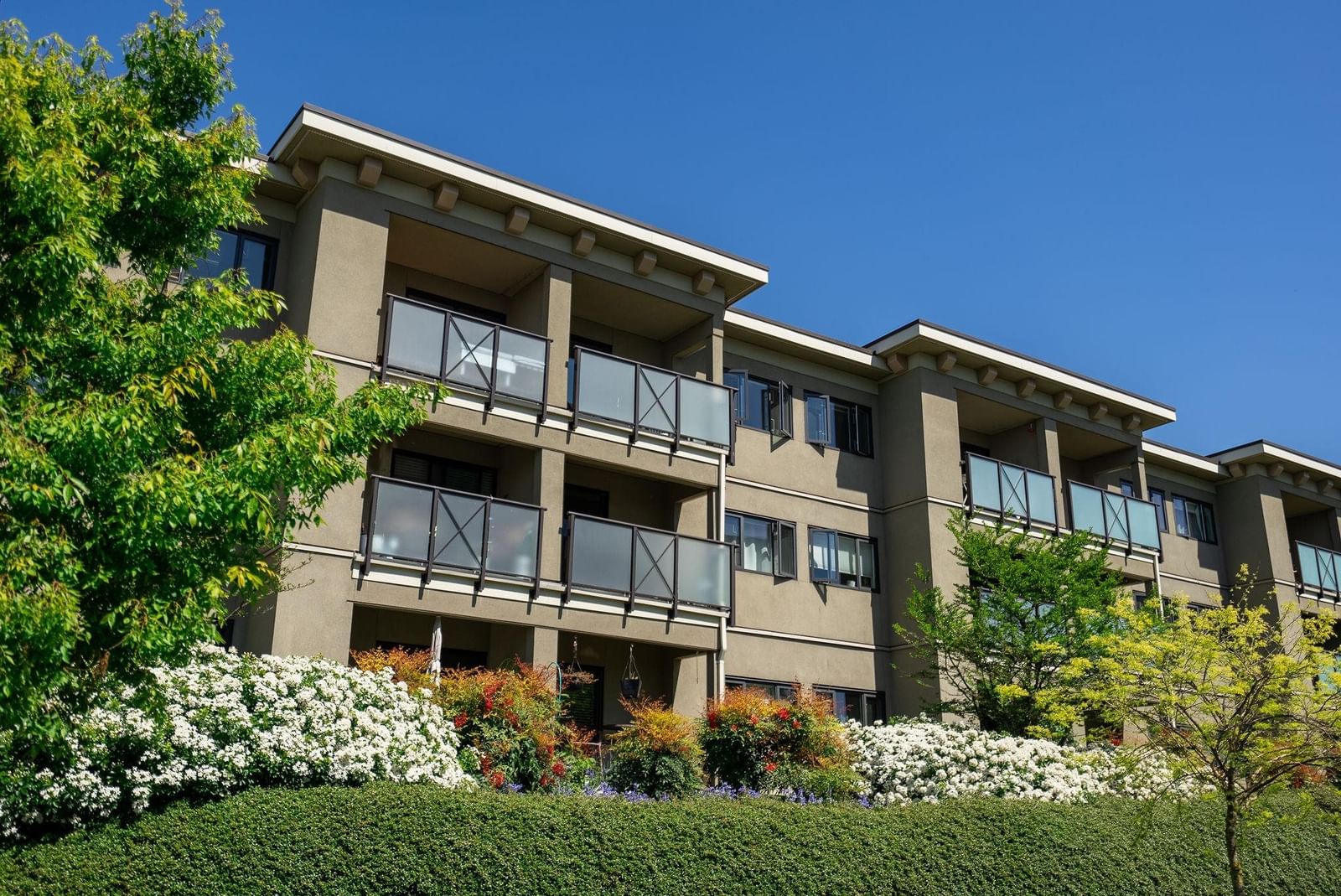 Listing Image 23