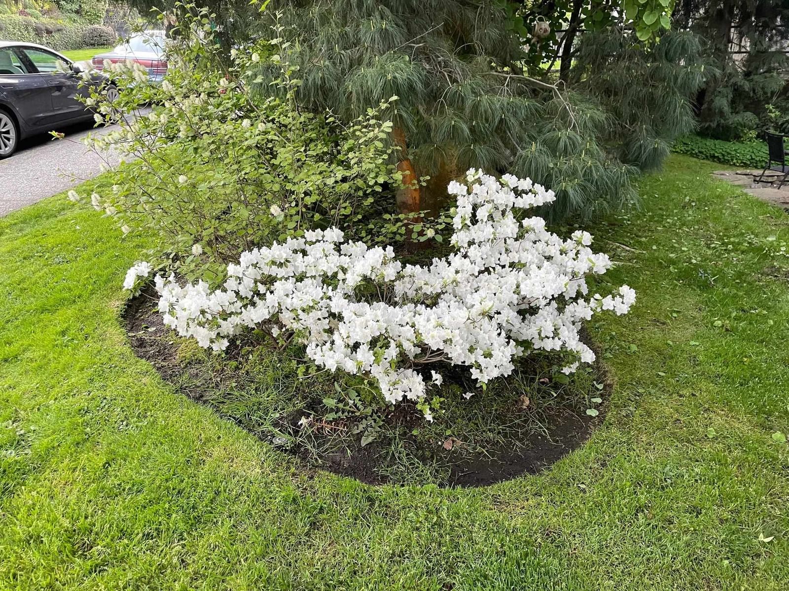 Listing Image 31