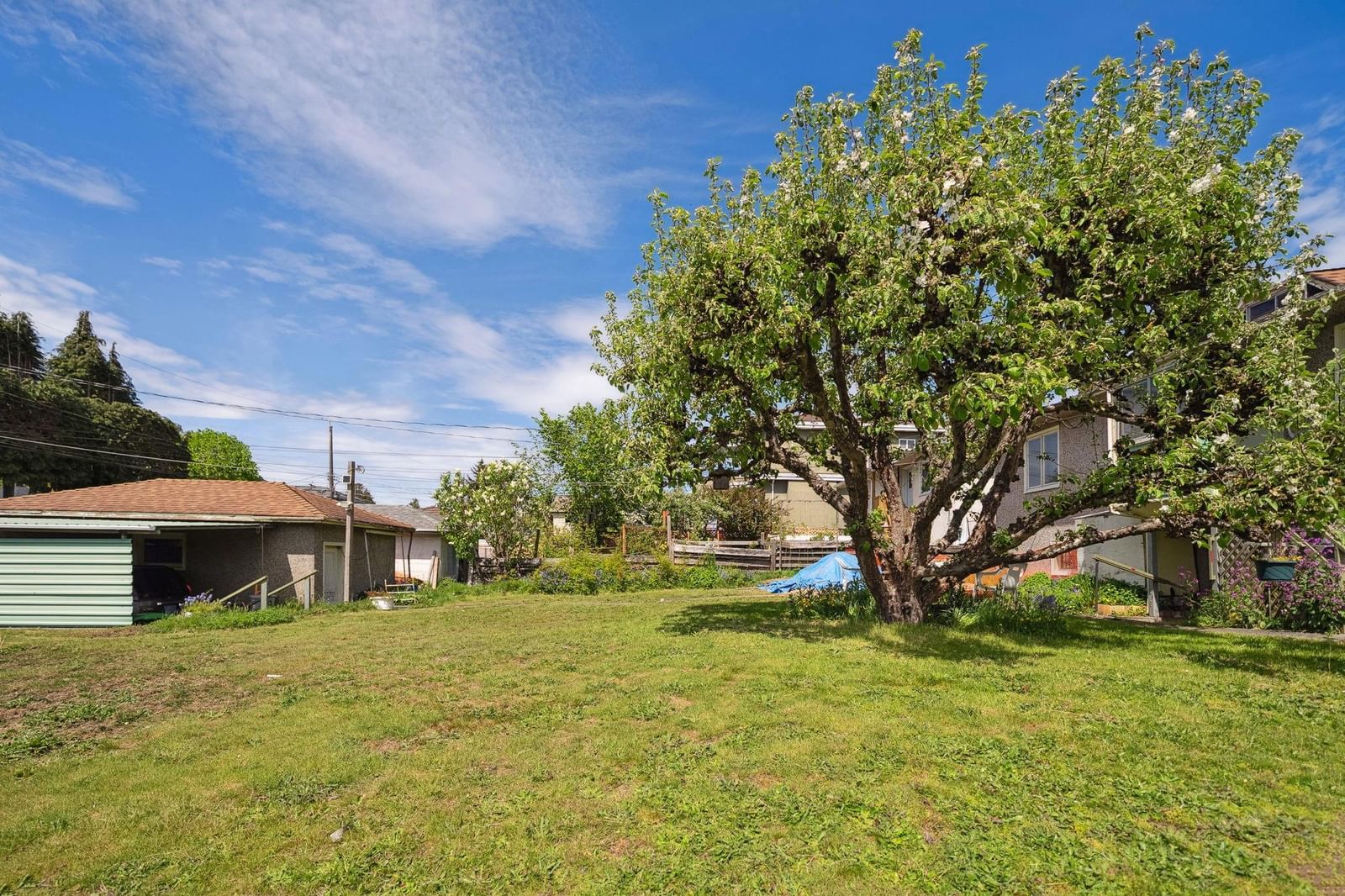 Listing Image 8