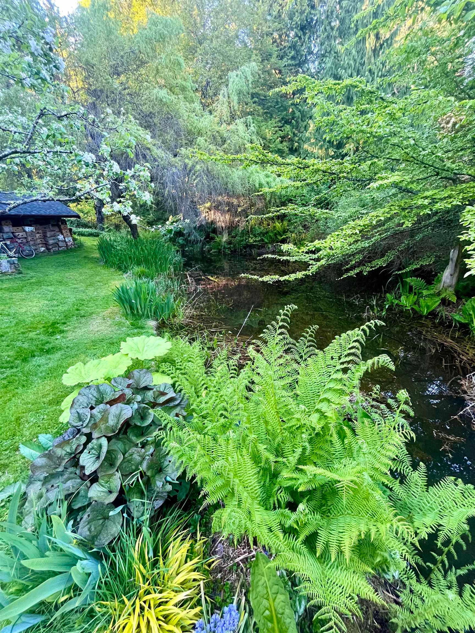 Listing Image 11