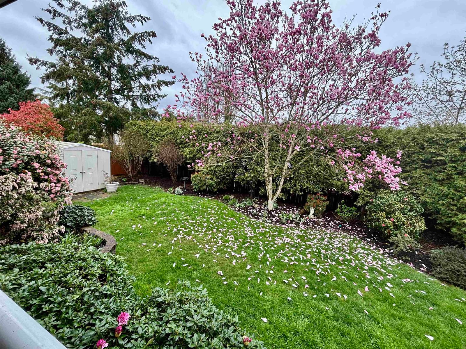 Listing Image 38
