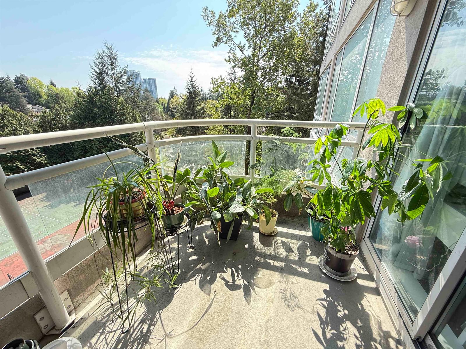 Listing Image 11