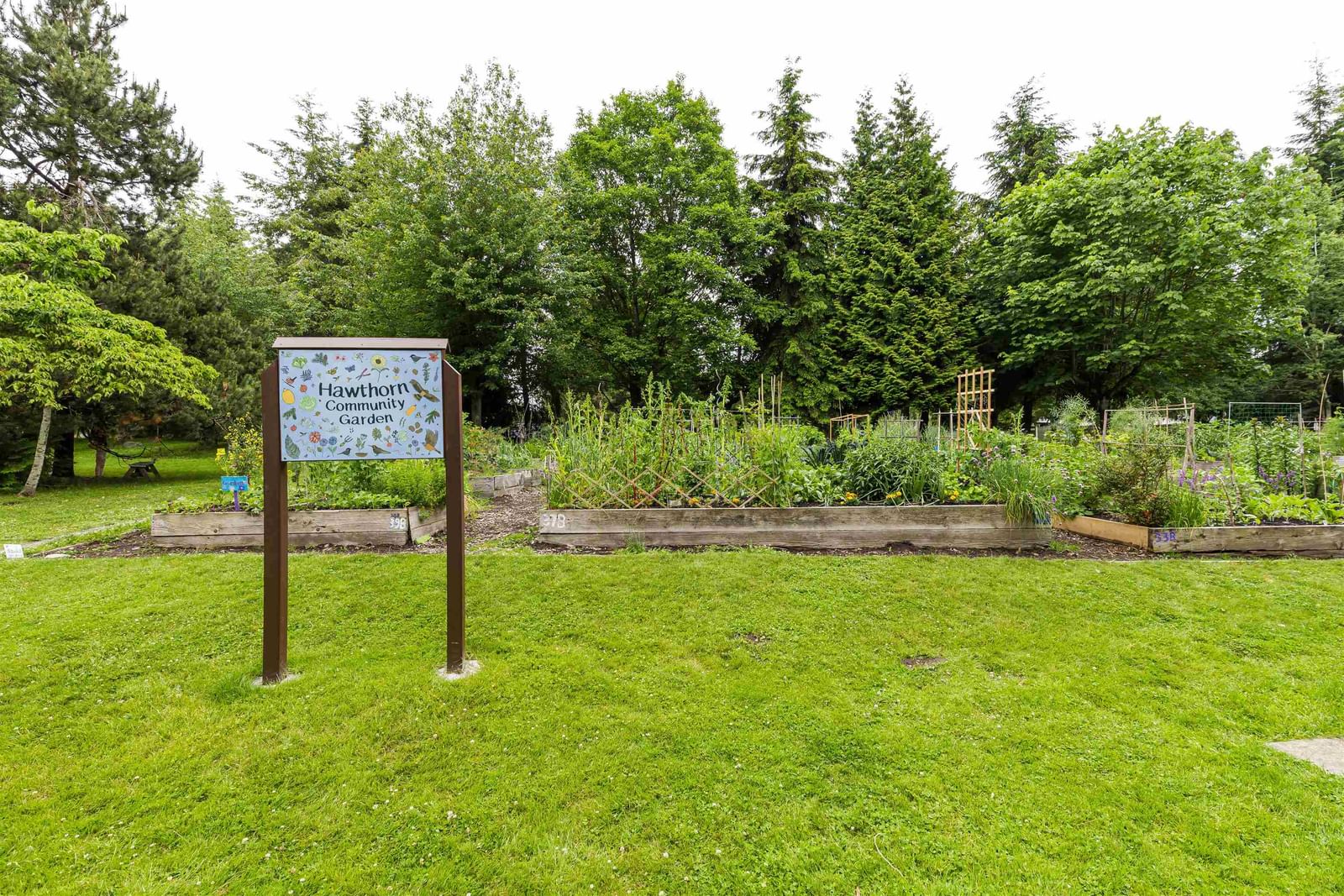 Listing Image 31