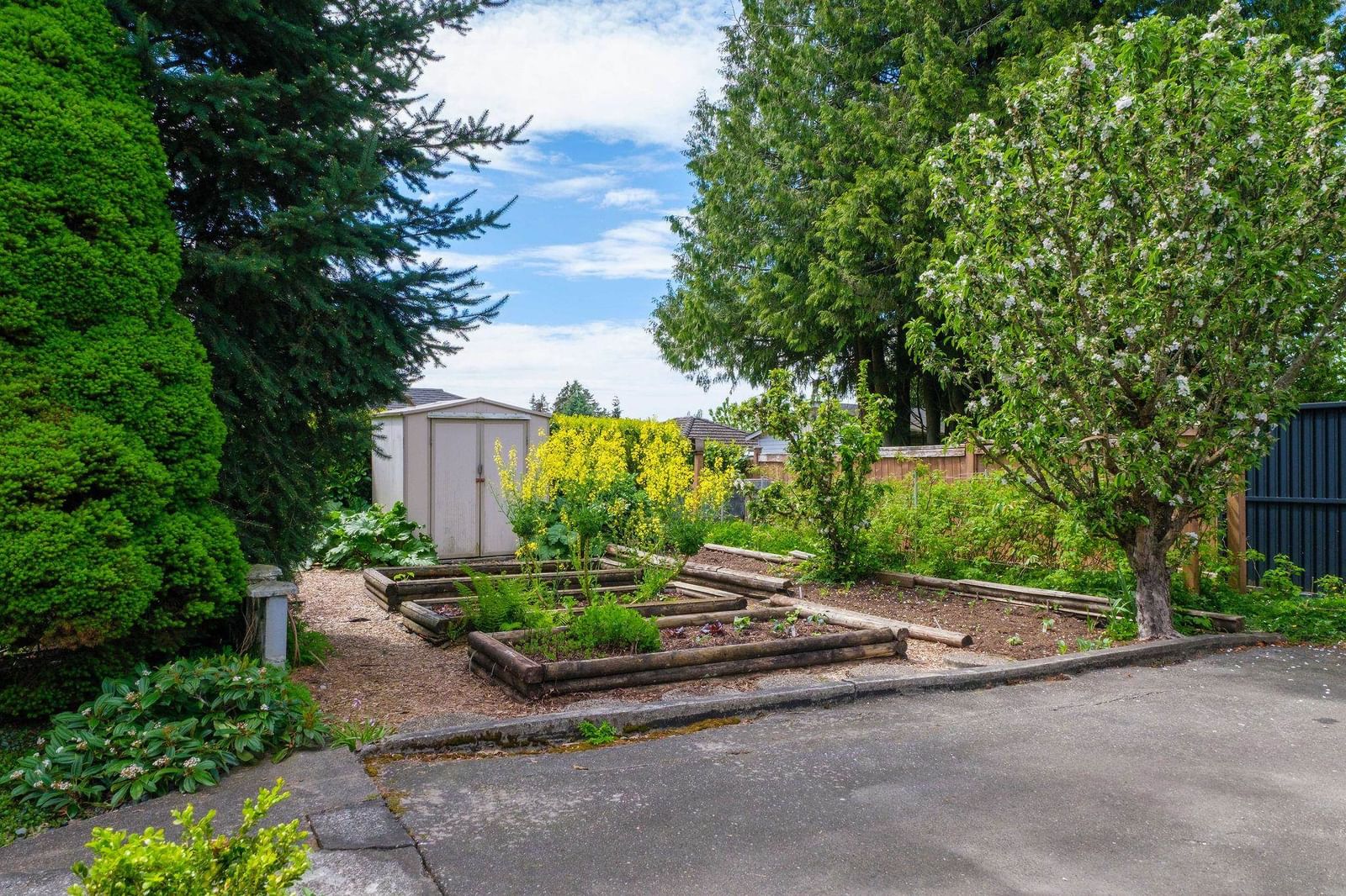 Listing Image 31