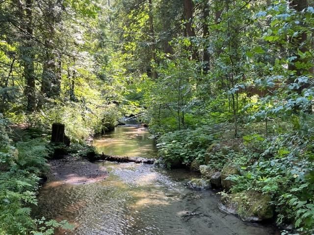 18 - 19743 Foster Road, Hope, V0X 1L2 | Image 2