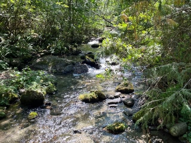 18 - 19743 Foster Road, Hope, V0X 1L2 | Image 3