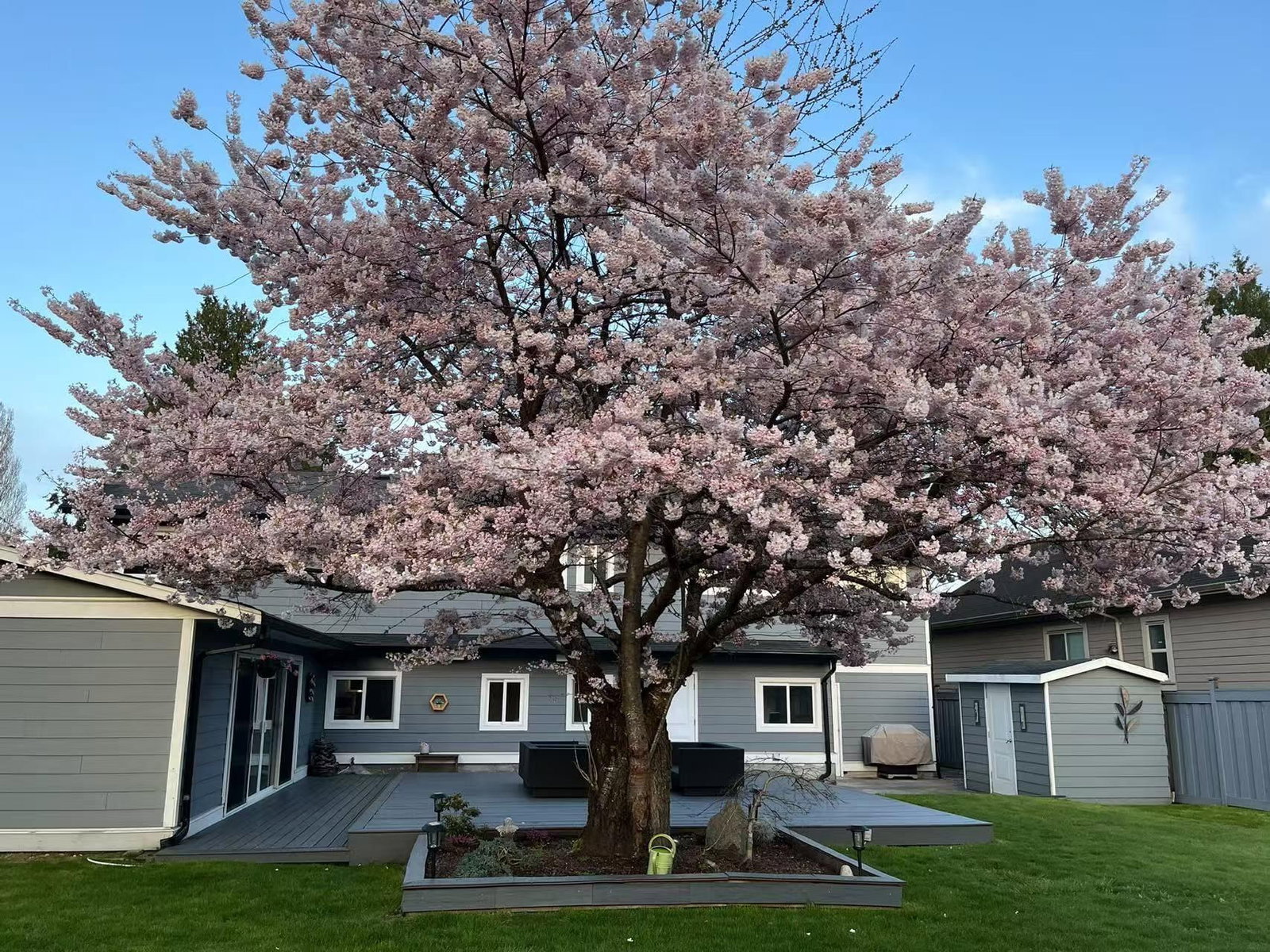 Listing Image 33