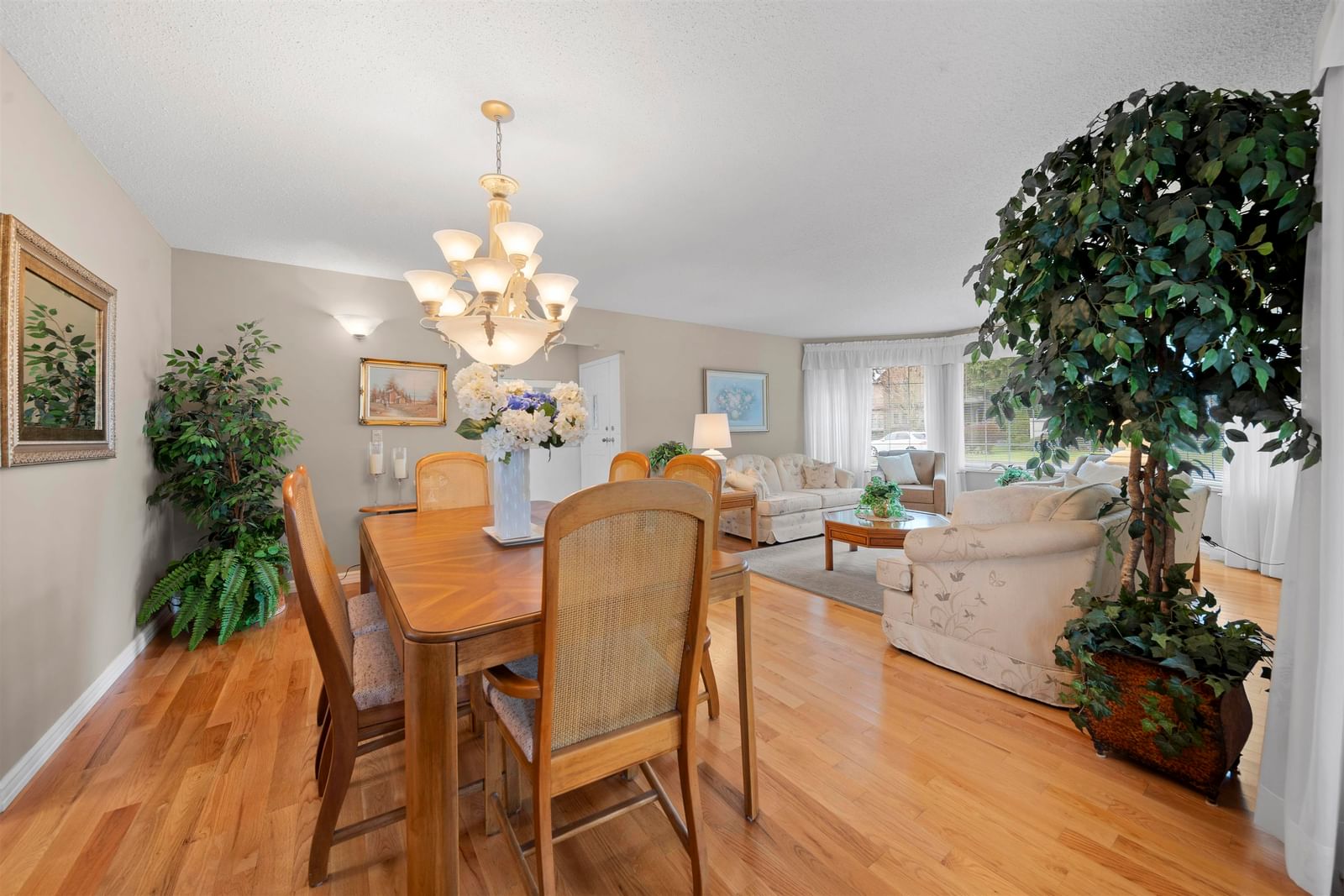 Listing Image 7