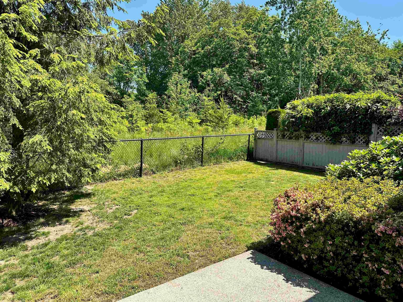 Listing Image 34