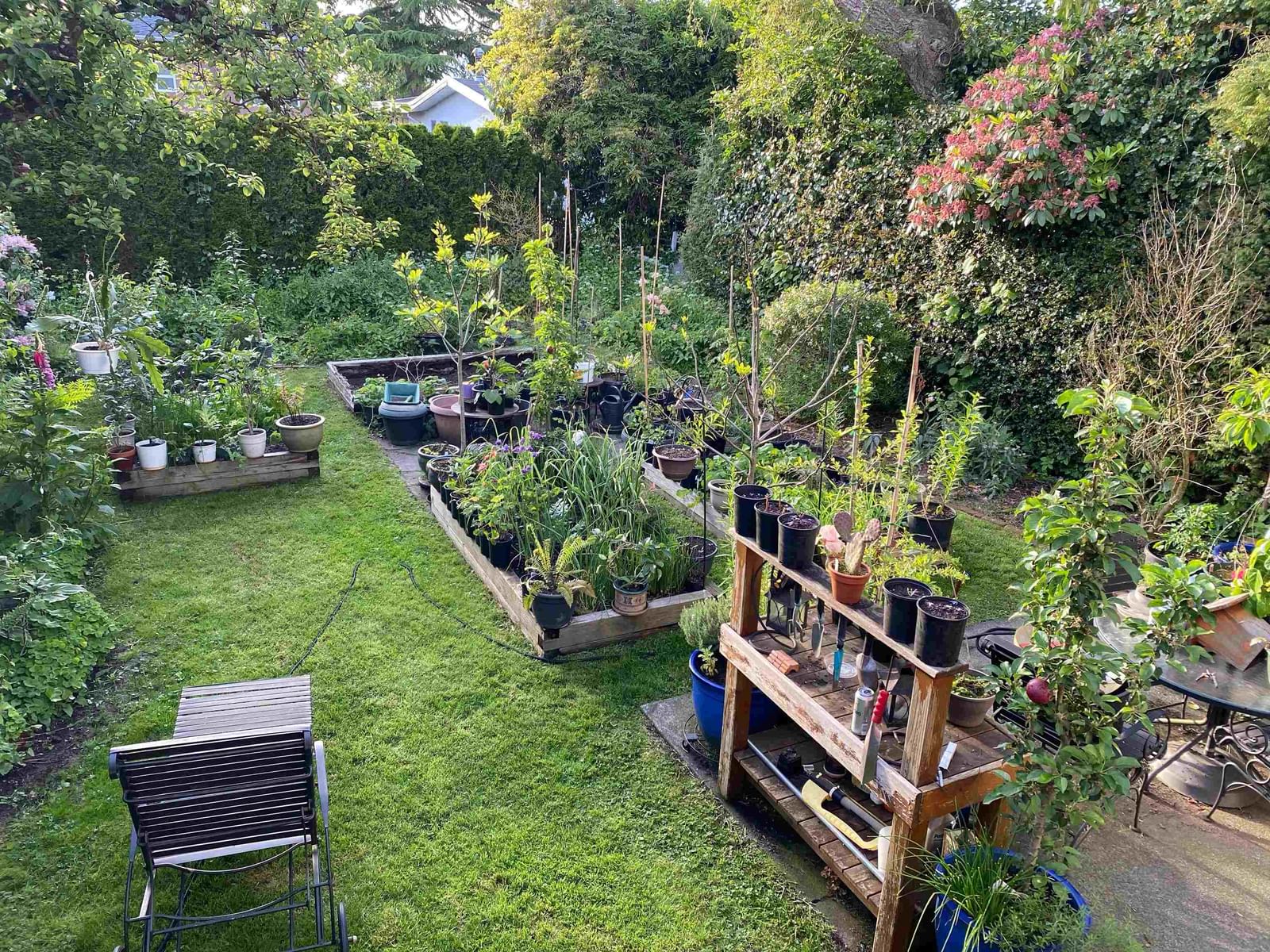 Listing Image 11