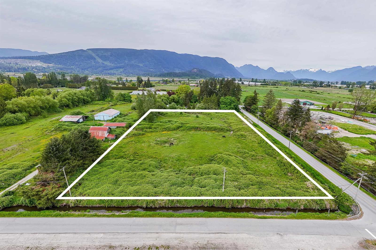 Listing Image 6