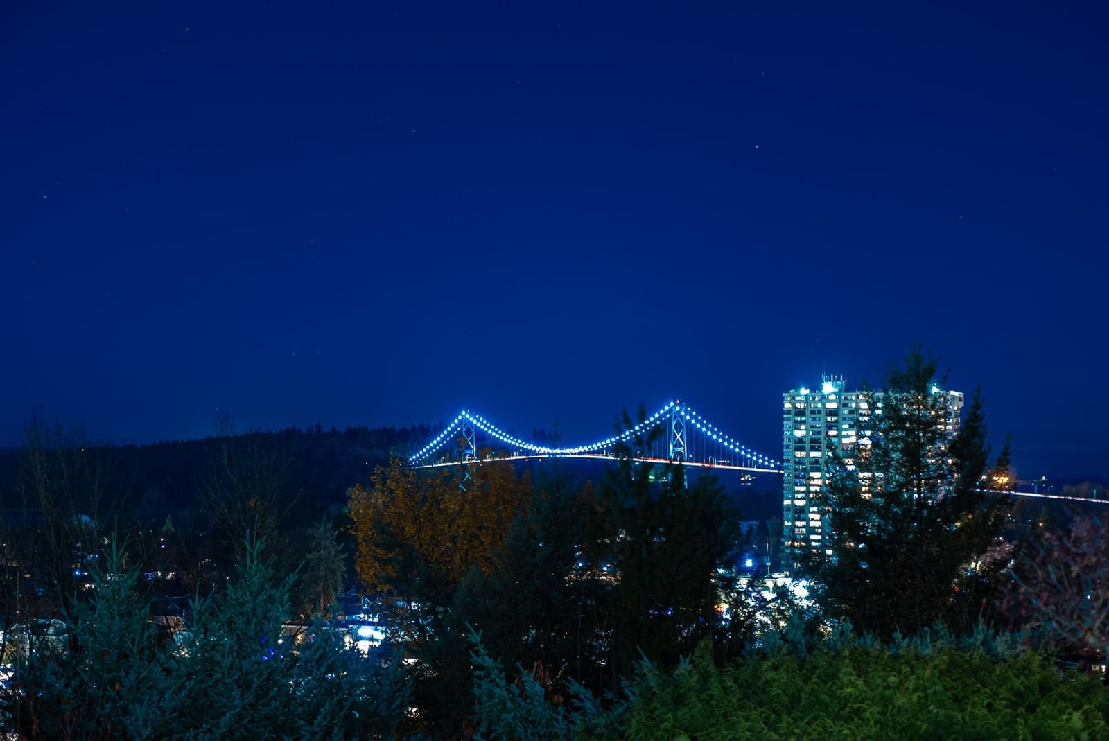 Listing Image 8