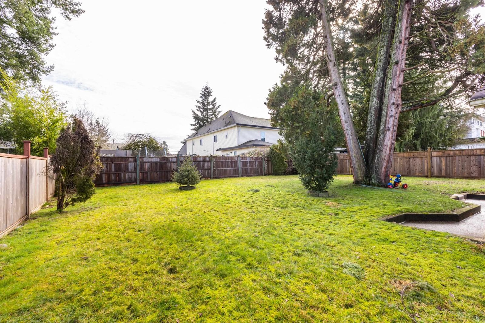 Listing Image 16