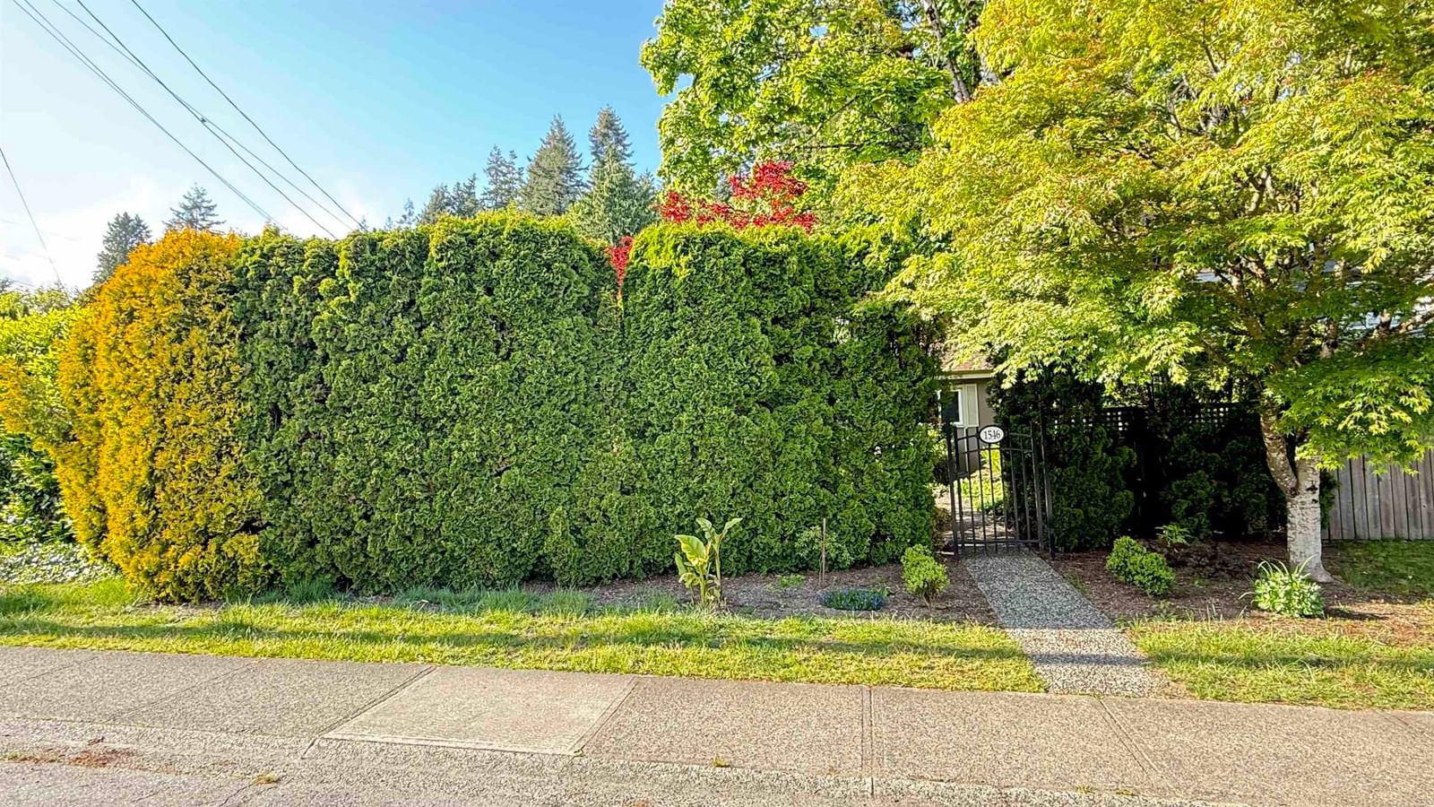 Listing Image 3