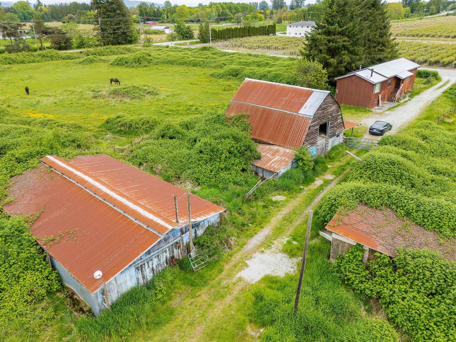 Listing Image 5