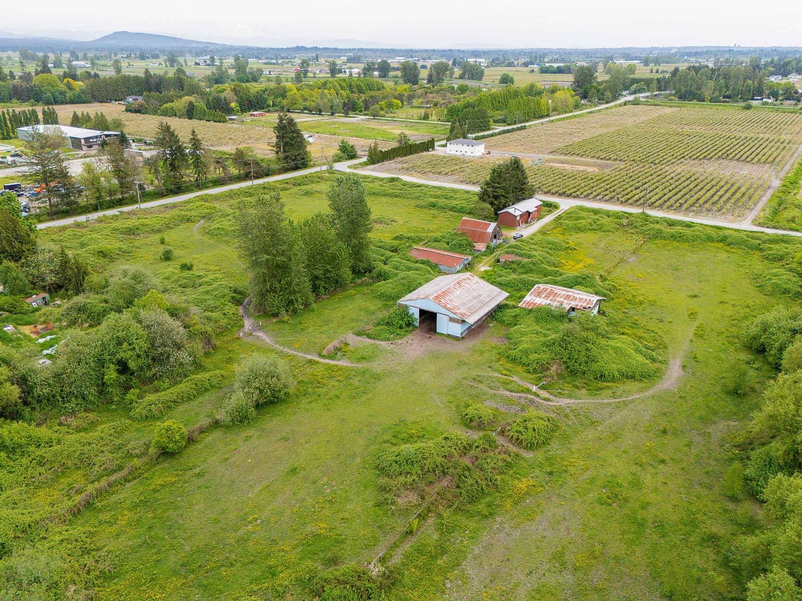 Listing Image 6