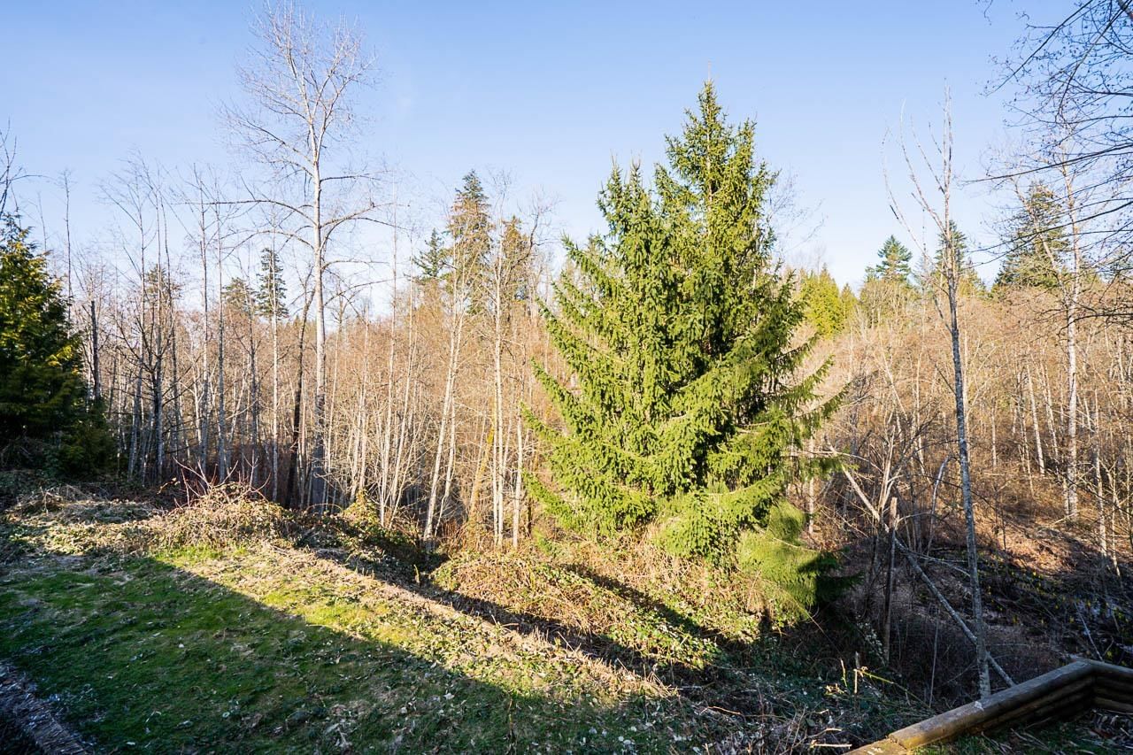 Listing Image 38