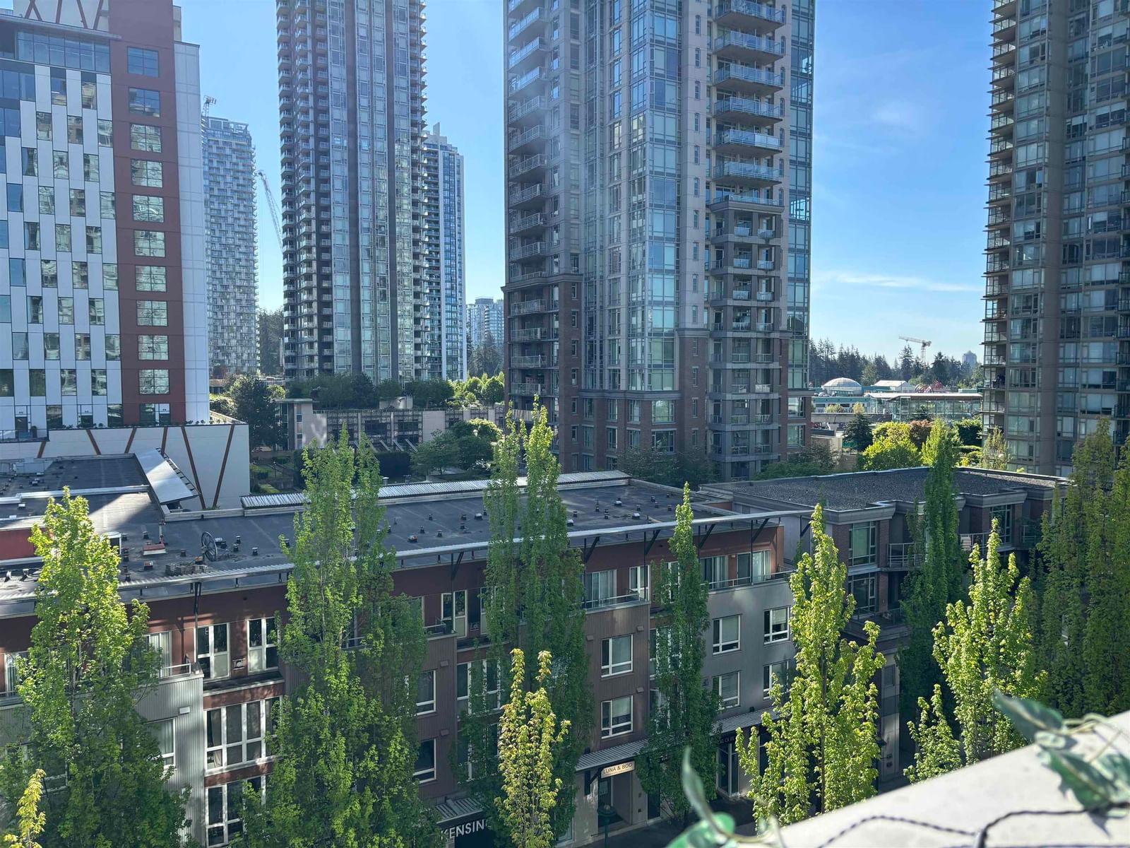 Listing Image 5