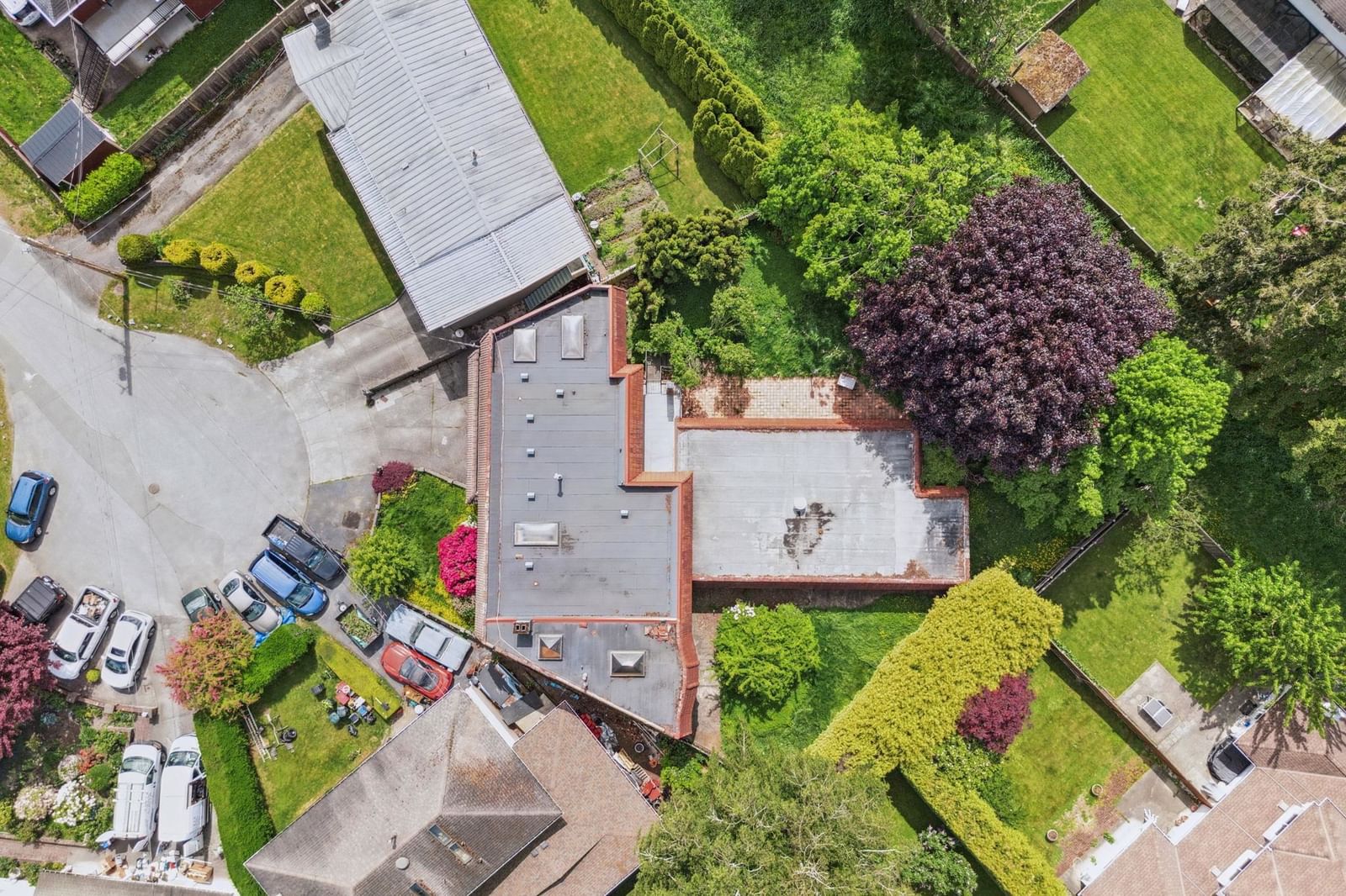 Listing Image 4
