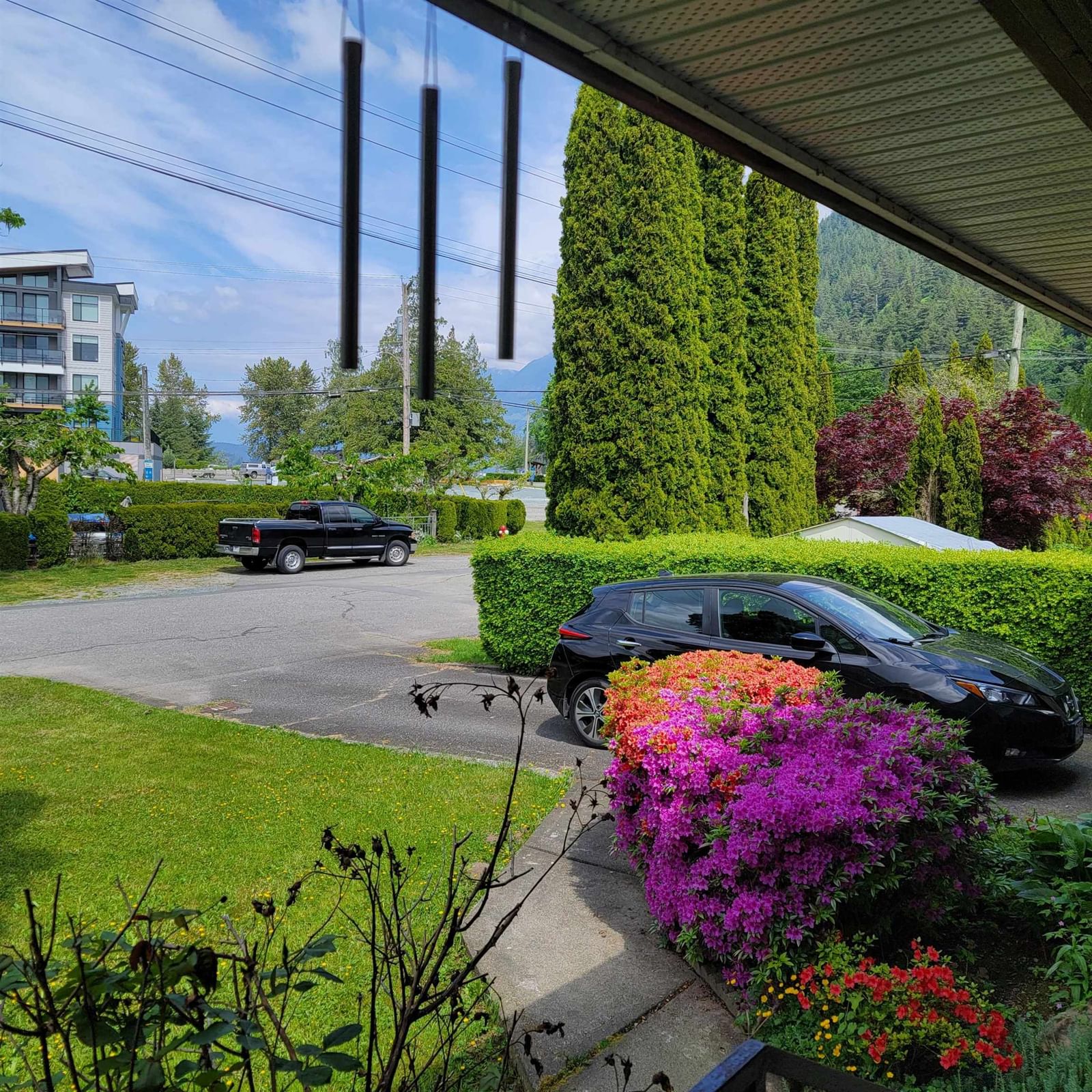 Listing Image 8