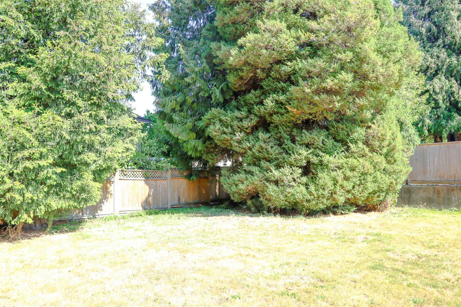 Listing Image 28