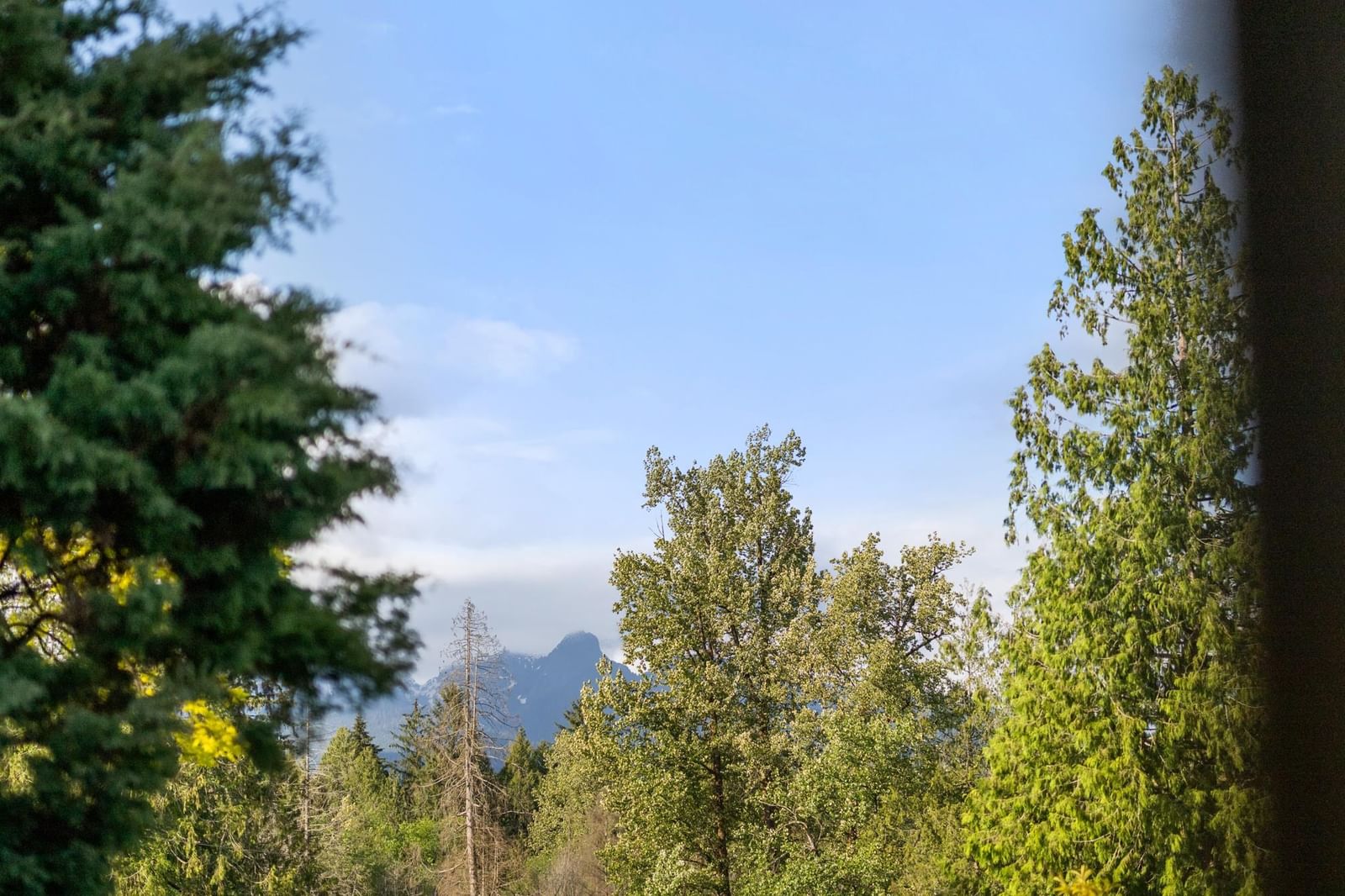 Listing Image 39