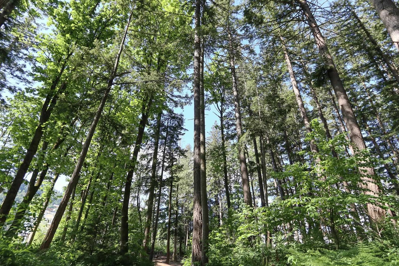 Listing Image 36