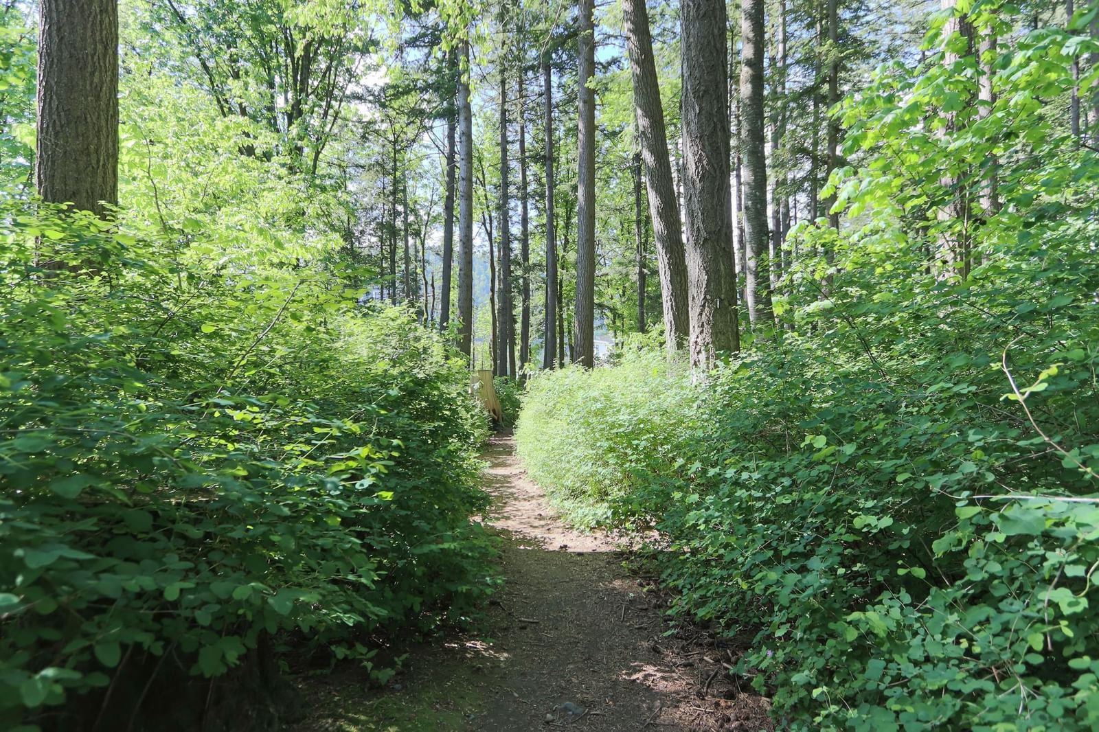 Listing Image 37