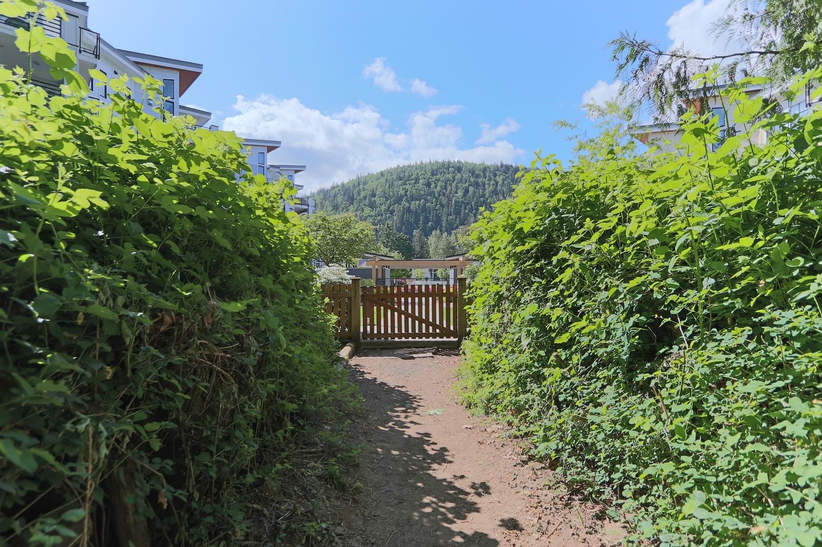 Listing Image 39
