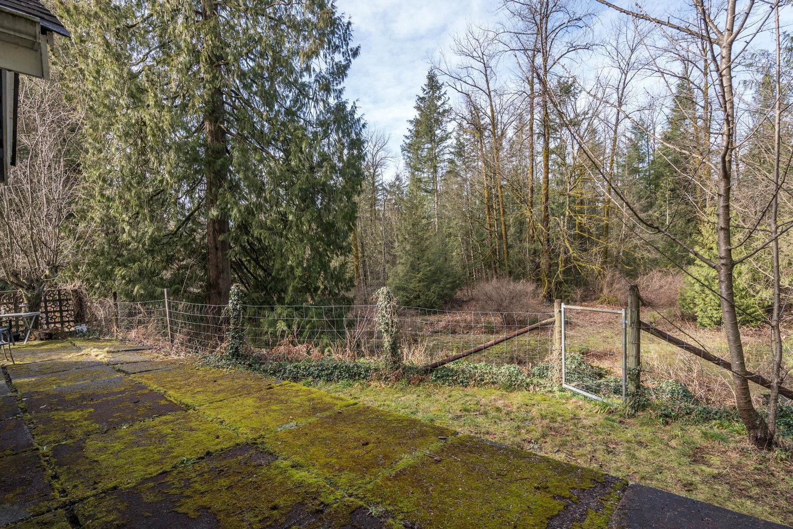 Listing Image 28