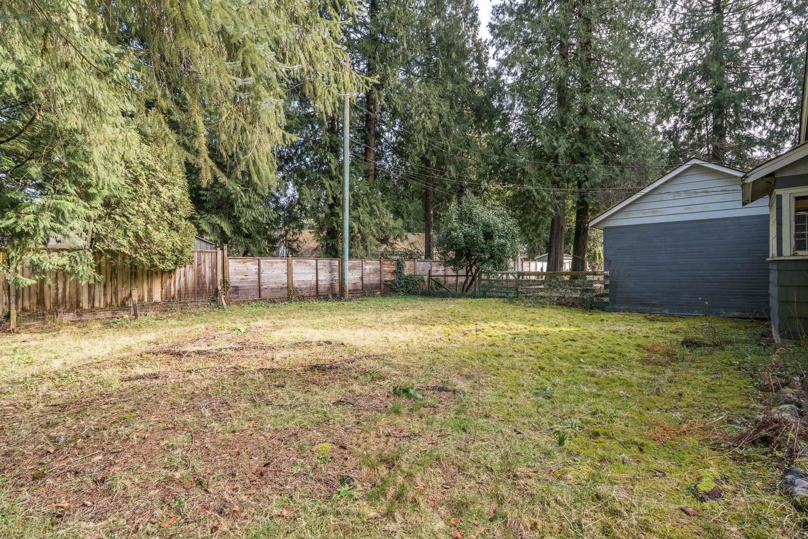Listing Image 29