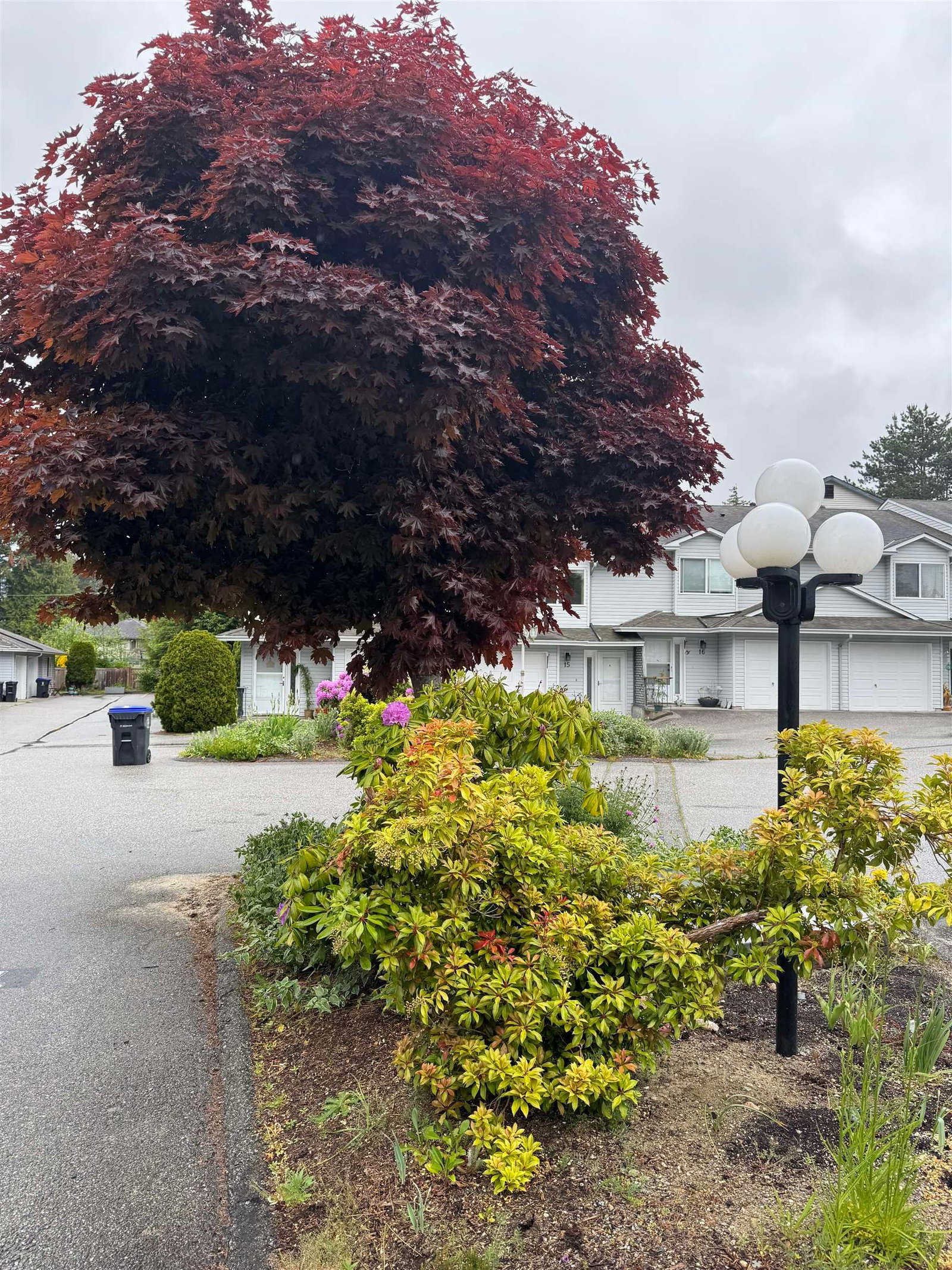 Listing Image 17