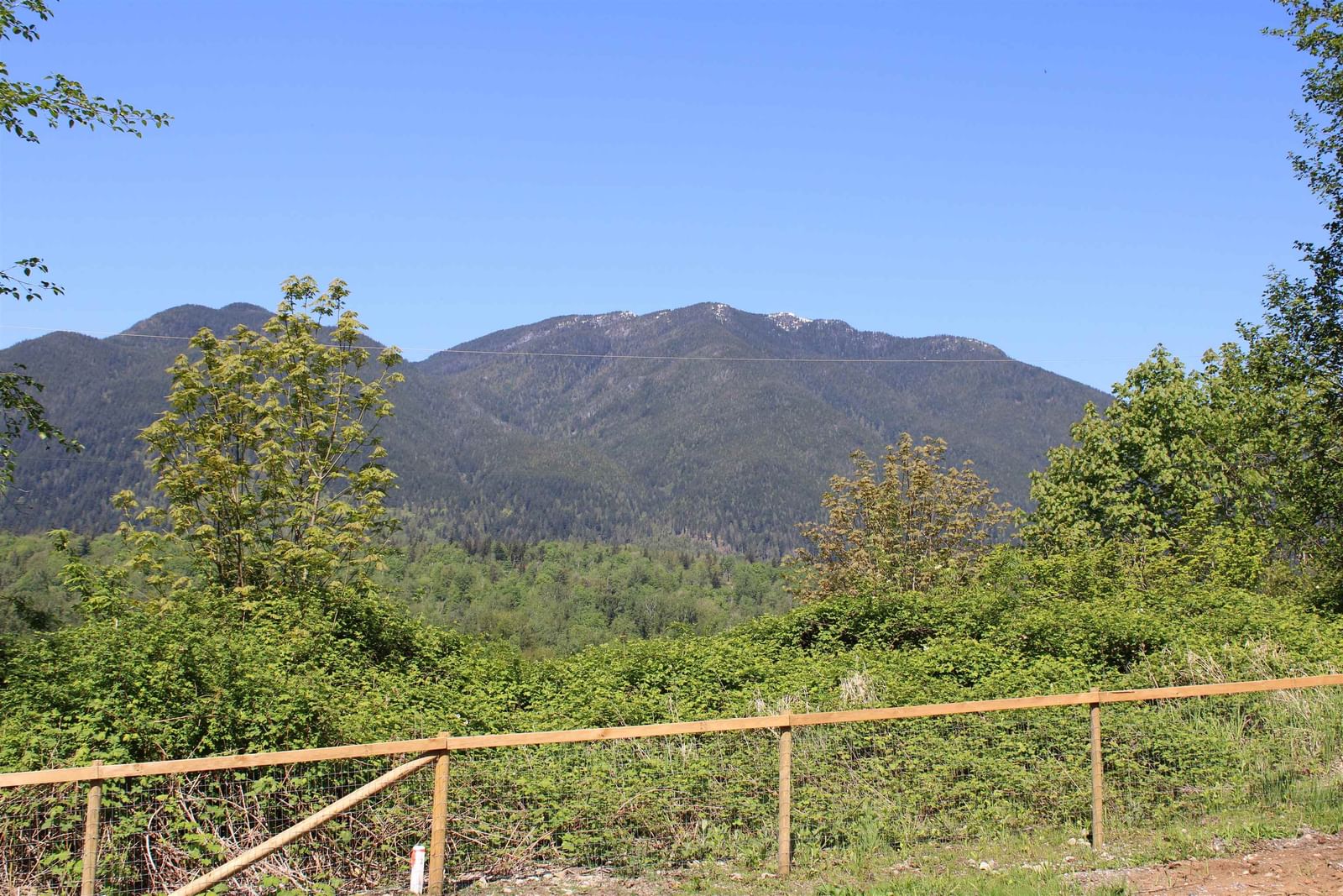 Listing Image 17