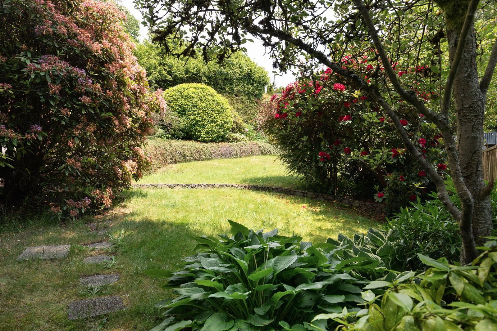 Listing Image 27