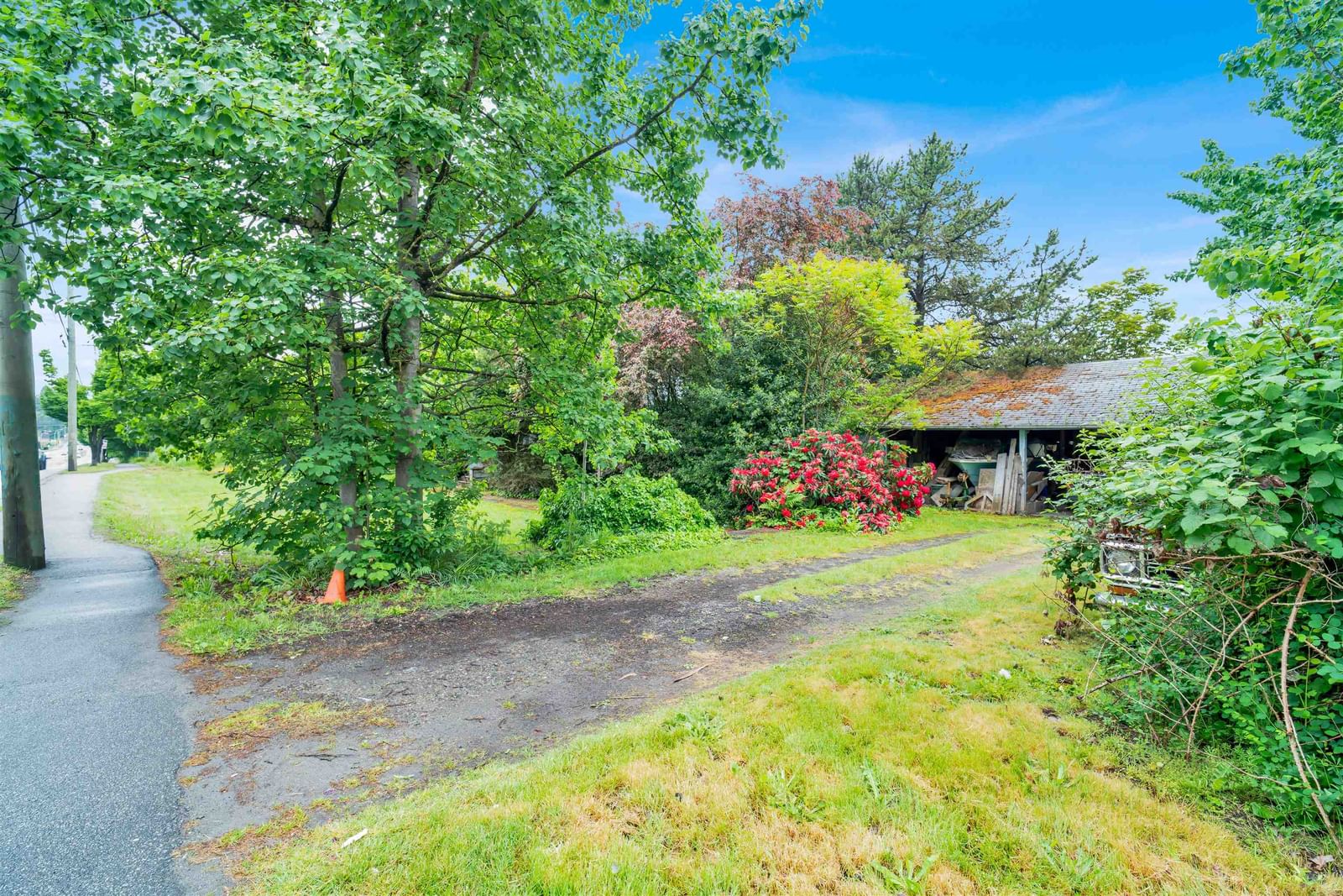Listing Image 18