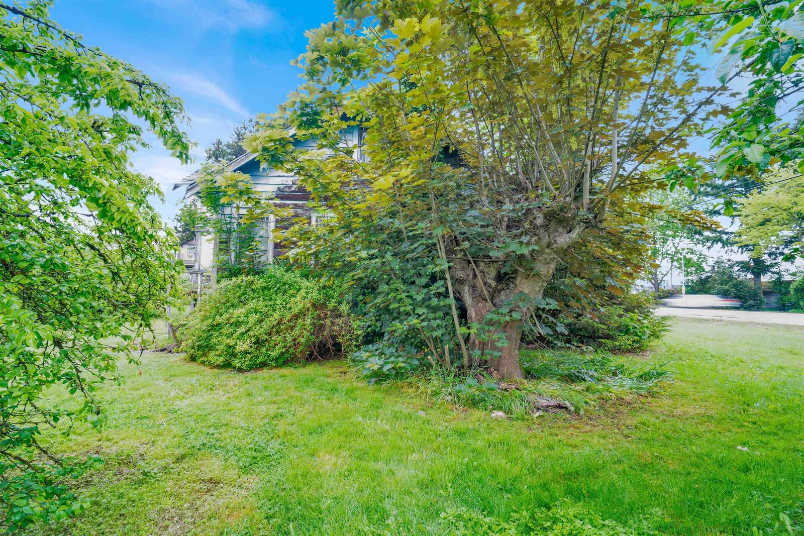 Listing Image 21