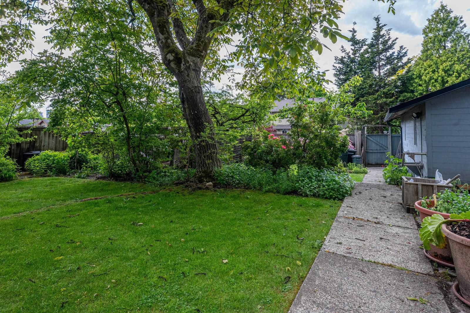 Listing Image 32
