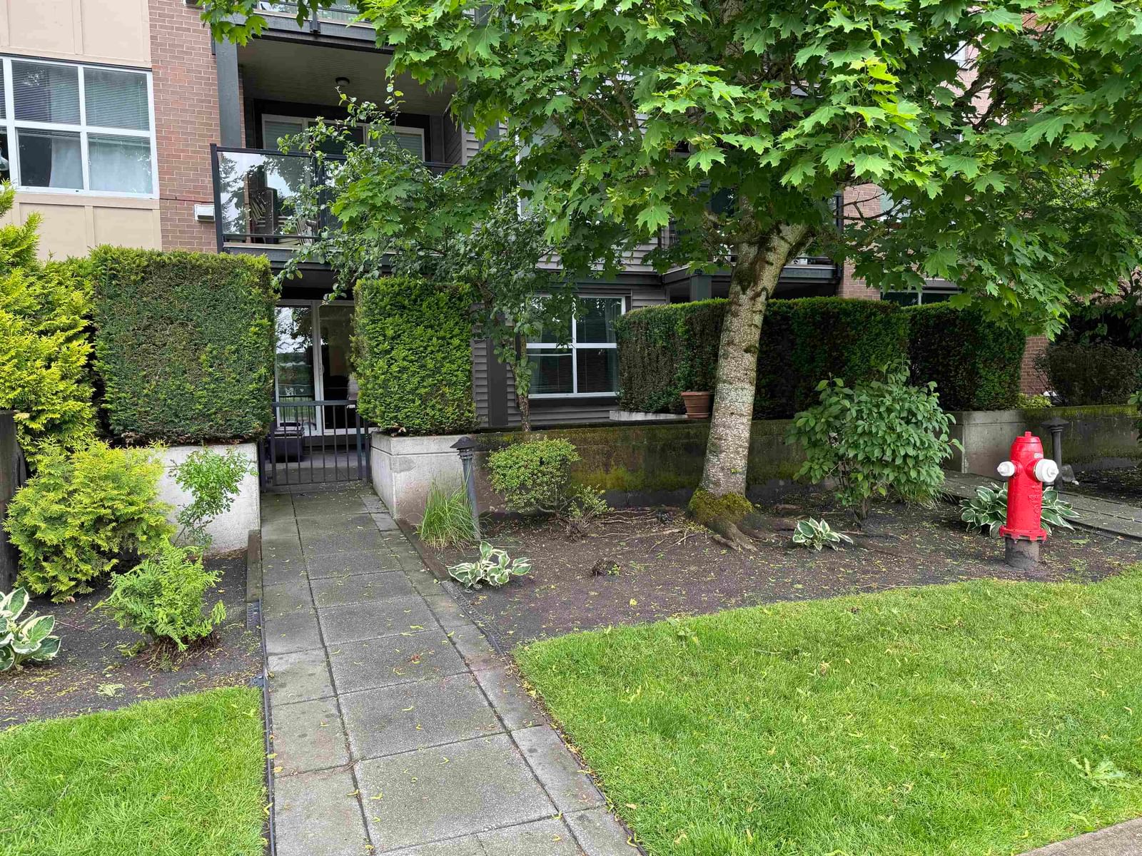 Listing Image 13