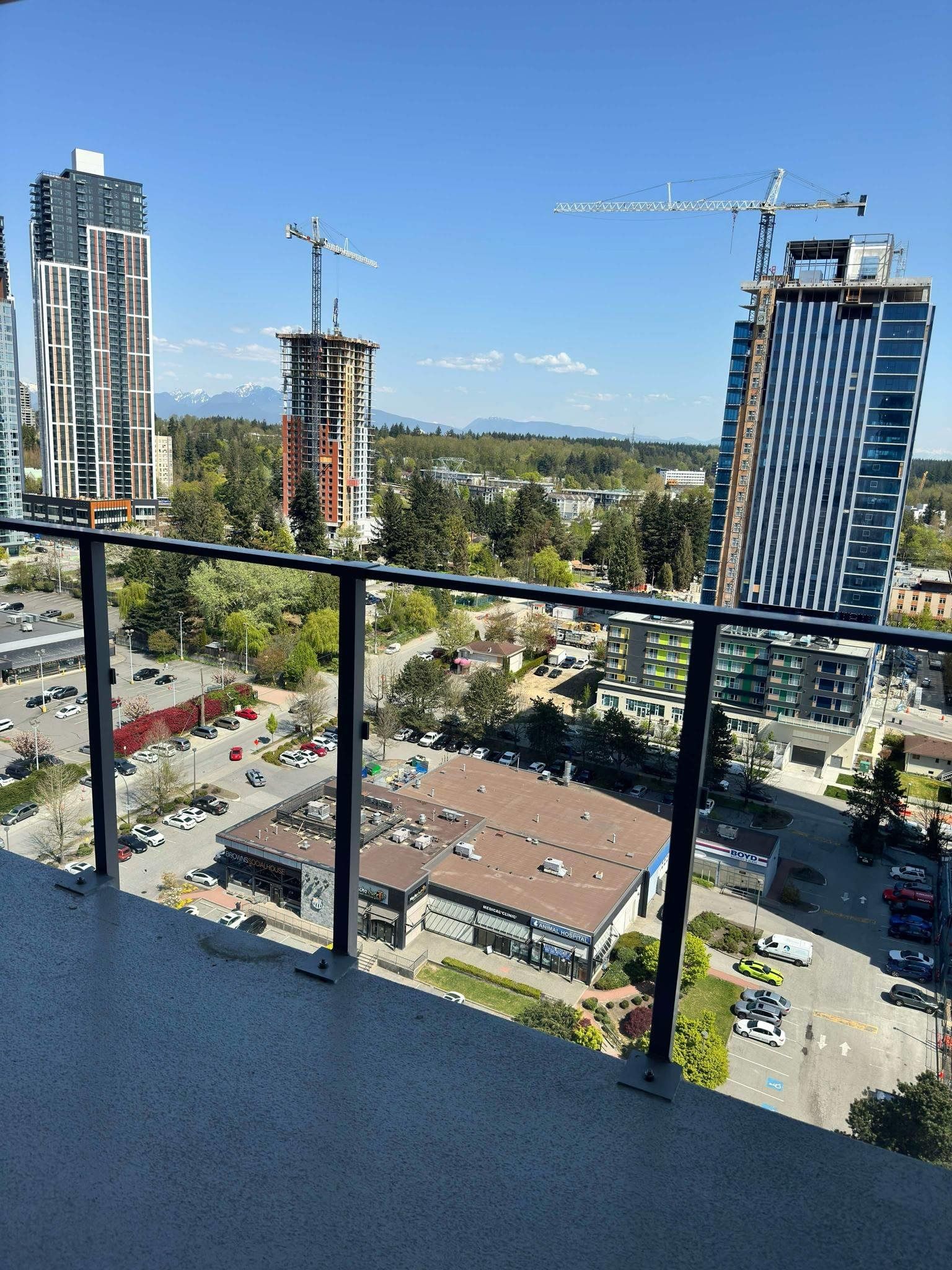 Listing Image 10