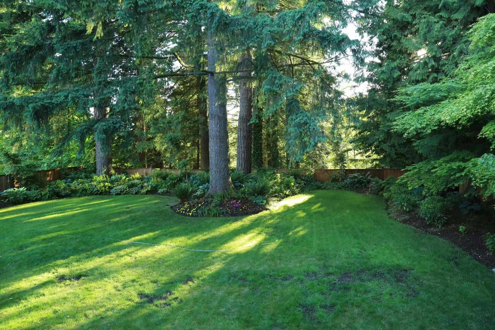 Listing Image 37