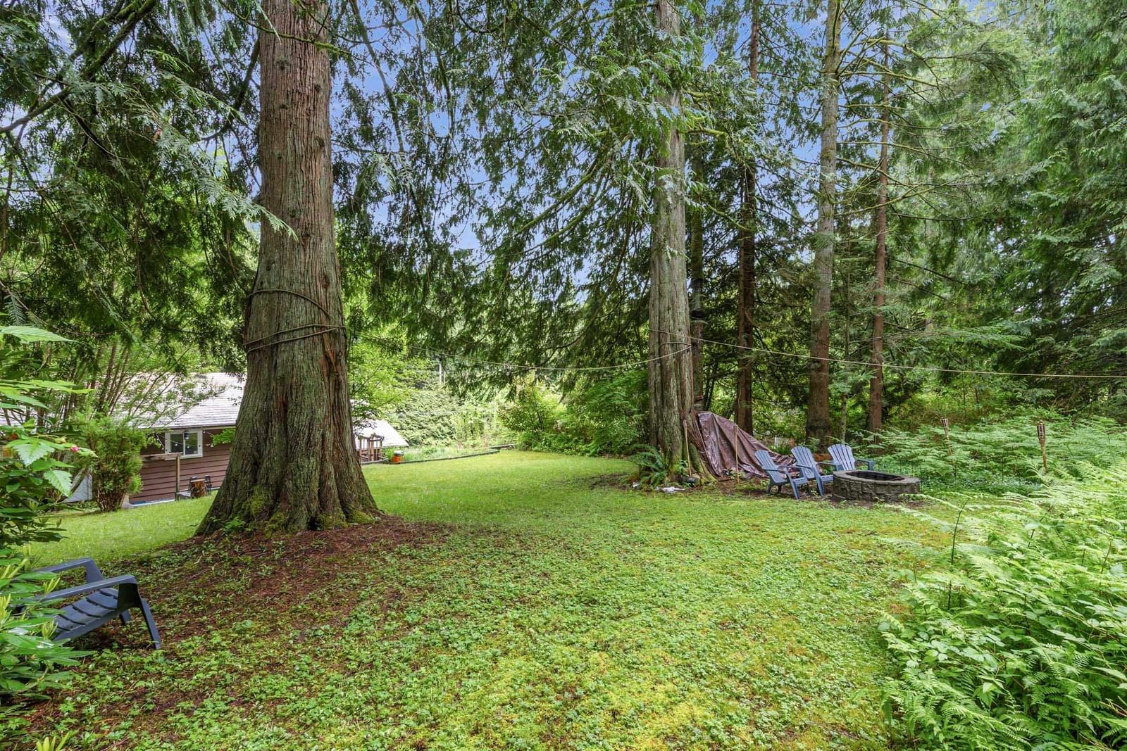 Listing Image 25