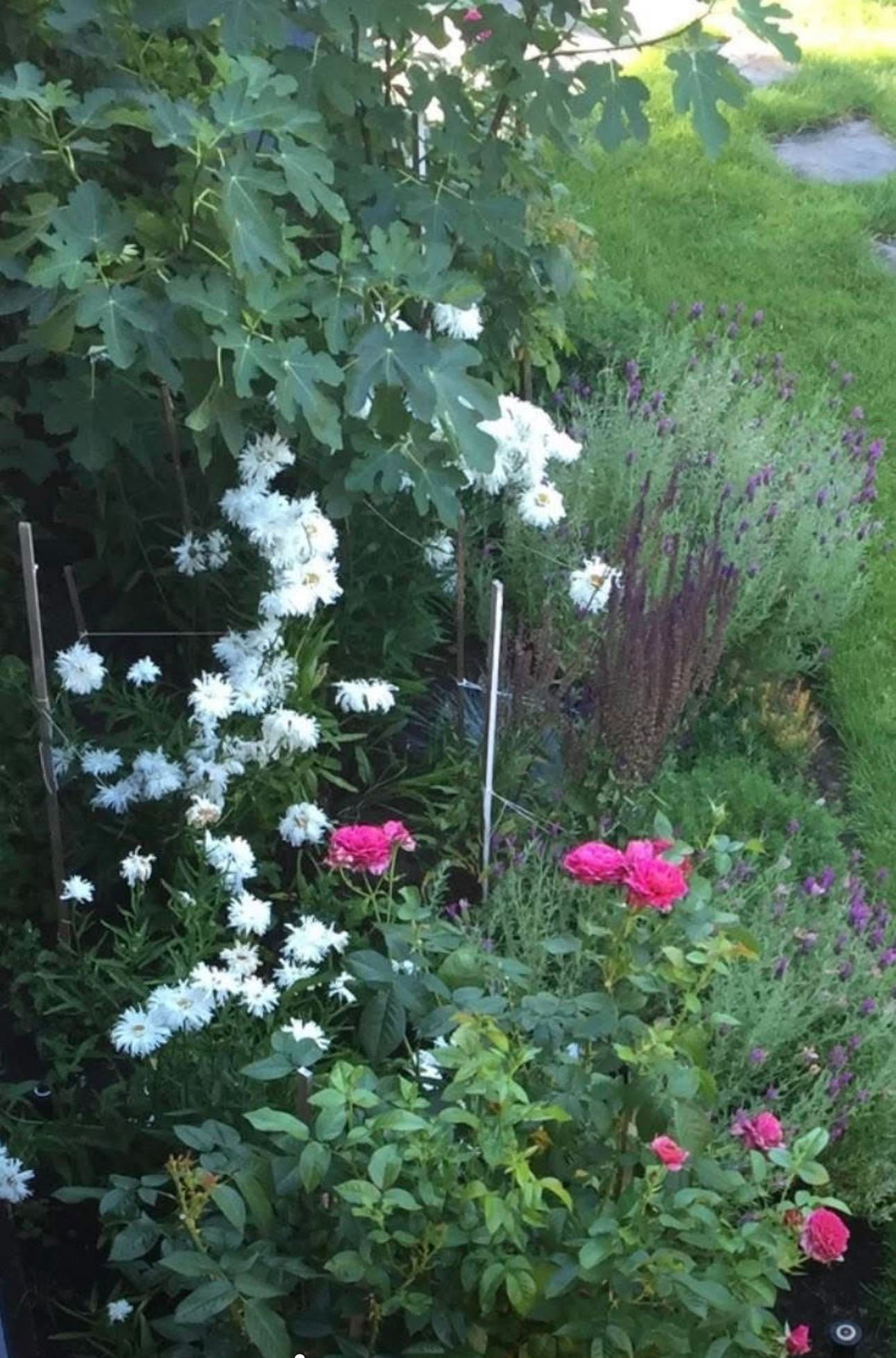 Listing Image 34