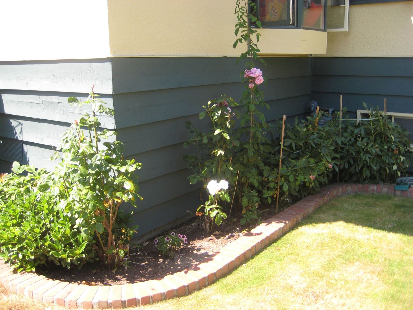 Listing Image 22