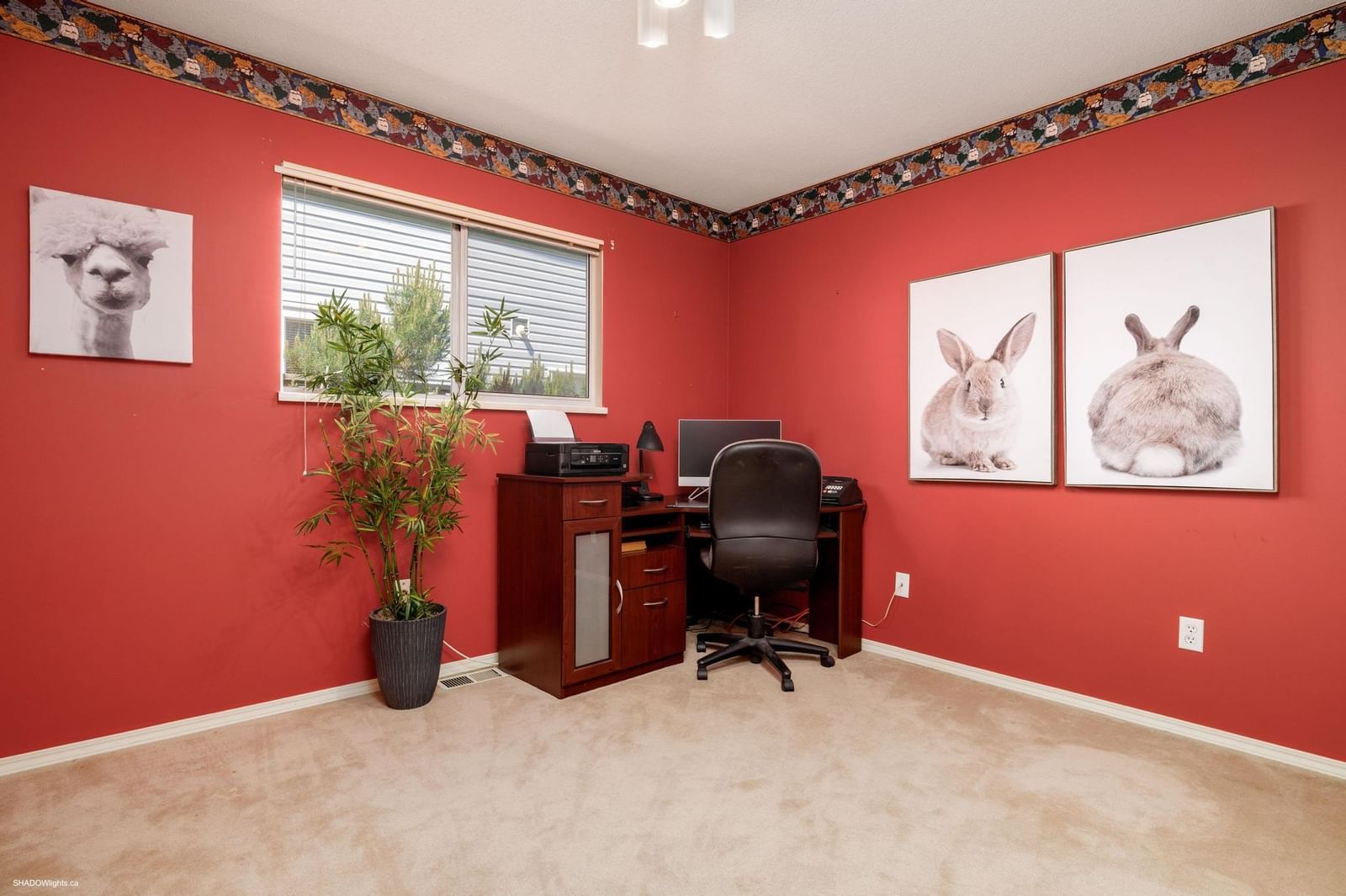 Listing Image 22