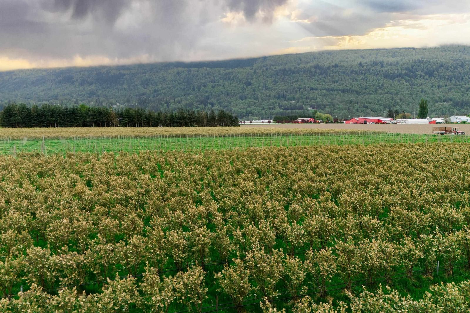 Listing Image 6